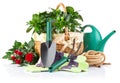 Garden equipment with green plants