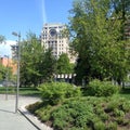 Garden of evergreen shrubs in a city park