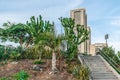 Garden with exotic plants in front of Torres de Santa Cruz Royalty Free Stock Photo