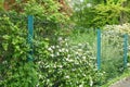 Garden fence and gate in rigid wire mesh panels