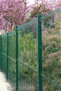 Garden fence and gate in rigid wire mesh panels