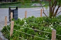 Flowerbed bounded by a rope fence as protection against tramping unscrupulous park visitors flowers yellow flowering perennials sp