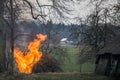 Garden fire flames with smoke, burning tree waste Royalty Free Stock Photo