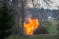 Garden fire flames with smoke, burning tree waste Royalty Free Stock Photo