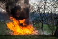 flames with smoke, burning tree waste Royalty Free Stock Photo