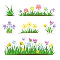 Garden flat flowers in grass. Spring tulip, meadow decorative floral elements. Springtime field plants, wild simple