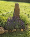 Garden flower bed with blooming lavender, mint, and oregano with big sandstone rock and stone border on background of Royalty Free Stock Photo