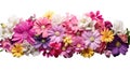 garden flower divider