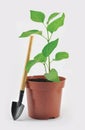 Garden flower pot with shovel and sprout Royalty Free Stock Photo