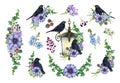 Garden flowers decor with blackbirds set. Watercolor painted illustration. Hand drawn tender garden flowers, blackbird