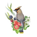 Garden flowers decor with waxwing bird. Watercolor illustration. Hand painted backyard bird with garden flowers