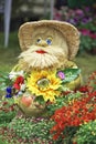 Garden flowers doll Royalty Free Stock Photo