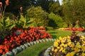 Garden with Flowers and Lawn Royalty Free Stock Photo