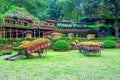 Garden flowers, Mae fah luang garden locate on Doi Tung. Royalty Free Stock Photo