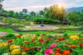 Garden flowers, Mae fah luang garden locate on Doi Tung.