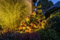 Garden Flowers and Other Plants Illuminated by Outdoor LED Lighting Royalty Free Stock Photo