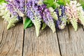 Garden flowers over blue wooden table background. Backdrop with copy space Royalty Free Stock Photo