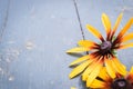 Garden flowers over blue wooden table background. Backdrop with copy space Royalty Free Stock Photo