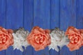 Garden flowers peony rose over blue wooden table background. Backdrop with copy space. Royalty Free Stock Photo