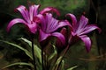 garden flowers, pink african lilies, blooming, desktop background generated by AI, generative assistant