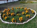 Garden of flowers in a small circle