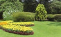 Garden flowers with trees