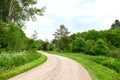 Garden, forest or park with a path between lush green trees, plants and leaves in nature on a sunny spring day. Scenic Royalty Free Stock Photo