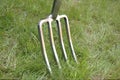 Garden fork inserted into lawn