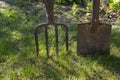 Garden forks and spade or shovel on a green lawn
