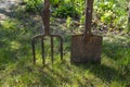 Garden forks and spade or shovel on a green lawn