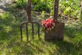 Garden forks and spade or shovel on a green lawn