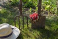 Garden forks and spade and straw sunhat