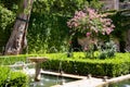 Garden with fountain, trimmed bushes and blooming tree