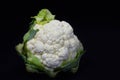 Garden Fresh Cauliflower 2 Royalty Free Stock Photo