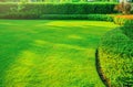 Garden with fresh green grass both shrub and flower front lawn background