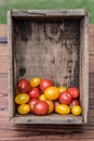 Garden fresh homegrown tomatoes in a wood crate Royalty Free Stock Photo