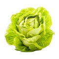 Fresh Butterhead Lettuce Crisp, Nutritious Greens for Healthy Salads and Cooking, Generative Ai