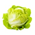 Fresh Butterhead Lettuce Crisp, Nutritious Greens for Healthy Salads and Cooking, Generative Ai