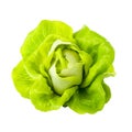 Fresh Butterhead Lettuce Crisp, Nutritious Greens for Healthy Salads and Cooking, Generative Ai