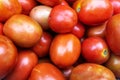 Garden Fresh Tomato High Res Royalty Free Stock Photo