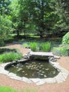 Garden Frog Pond