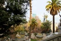 Public park with palm and trees in the city Royalty Free Stock Photo