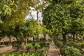 Garden with fruit and palm trees, cobblestone walking paths. Gardens at the Alcazar de los Reyes Cristianos in Cordoba