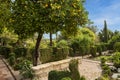 Garden with fruit trees and palm trees, paved walking paths. Gardens of Alcazar de los Reyes Cristianos, Cordoba