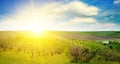 Garden with fruit trees and sunrise. Wide photo. Royalty Free Stock Photo