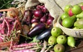 Garden fruit and vegtables Royalty Free Stock Photo