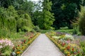 Garden full of flowers at the Botanic Garden of the Jagiellonian University, Krakow, Poland. Photographed in summer. Royalty Free Stock Photo