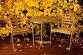 Garden furniture in autumn