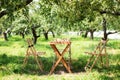 Garden furniture for leisure time in nature. Empty chairs and table table in orchard. Wooden outdoor furniture set for Picnic in a Royalty Free Stock Photo