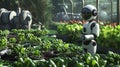 Humanoid Robot Working in a Modern Greenhouse Royalty Free Stock Photo